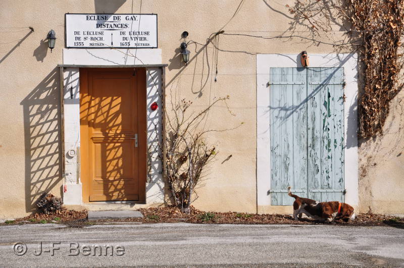 Un brave toutou renifle près de la maison éclusière