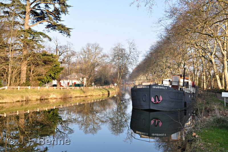 Au port du Ségala, une péniche de couleur anthracite se reflète dans l'eau du canal du midi (beaux reflets bleus).
À gauche, un cèdre et à droite une double rangée de platanes. Il n'y a pas encore de feuilles, c'est la fin de l'hiver. 
 Beaux reflets des arbres dans l'eau.