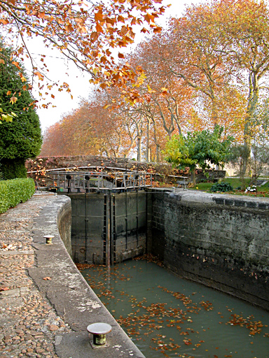 Niveau bas dans le bassin de l'écluse. quelques feuilles d'automne dans l'eau et des arbres dorés