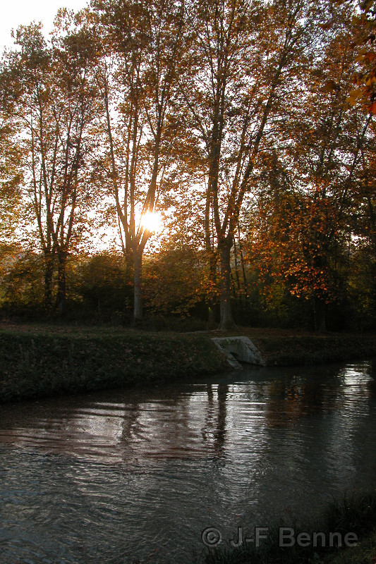 Un coucher de soleil sur le Canal latéral 
à la Garonne, que l'on appelle aujourd'hui Le Canal de Garonne. On aperçoit le soleil couchant au travers des arbres sur la rive opposée...