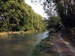 À la sortie de La Redorte, vers l'Est : C'est une image que l'on pourrait qualifier de banale, on ne voit que le canal, et la végétation alentour, rien d'autre. Sachons seulement que nous sommes en été