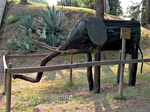 Un éléphant d'Occitanie