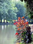 À l'écluse de l'Aiguille : le canal sous les frondaisons, couleurs vertes et rouges