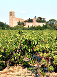 Église de Puichéric sur les vignes