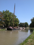 Une belle péniche à voiles, noire et grenat. C'est une prise de vue verticale, on voit la totalité du mat.