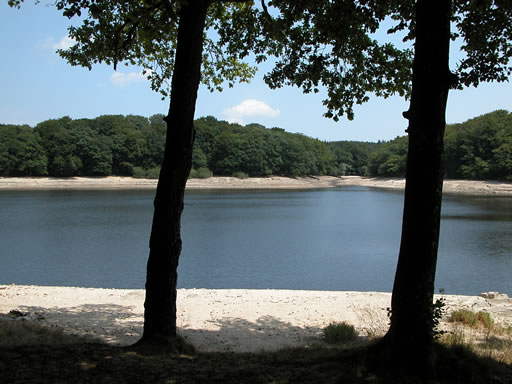 Vue du bassin montrant les forêts qui l'entourent