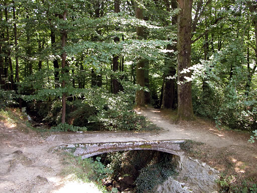 Sous les frondaisons. Un petit pont qui permet de franchir un canal profond destiné à évacuer le trop plein du barrage du Lampy