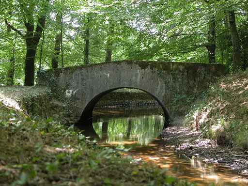 Sous les frondaisons : gros plan sur un petit pont qui enjambe la Rigole de la Montagne. Quelques feuilles de lierre sur les deux extrémités. Belle ombre d’été