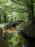 Petit pont sur la Rigole de la Montagne dans laquelle se reflète la verdure des arbres