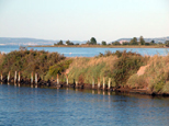 Lagune de Thau et au premier plan, le Canal