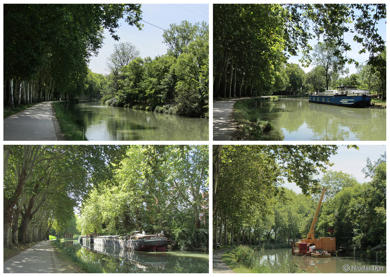 Direction le Lauragais en find e parcours des 12 km 177 du bief Bayard, le 4ème bief du Canal du Midi.