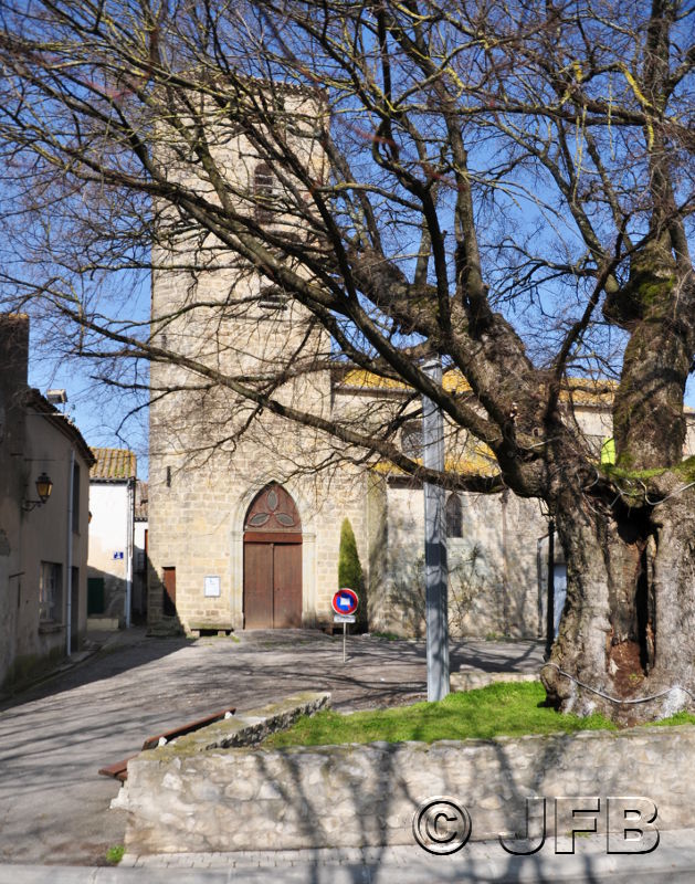 L'église et l'ormeau de Villesèquelande