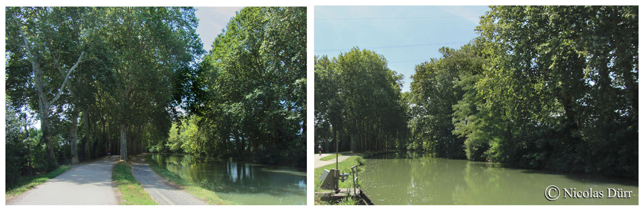 Le bief Castanet, Longueur, 1 km 705. 5e bief. Commune traversée : Castanet Tolosan (Lauragais, département de la Haute Garonne, Région Midi Pyrénées, en données 2012).