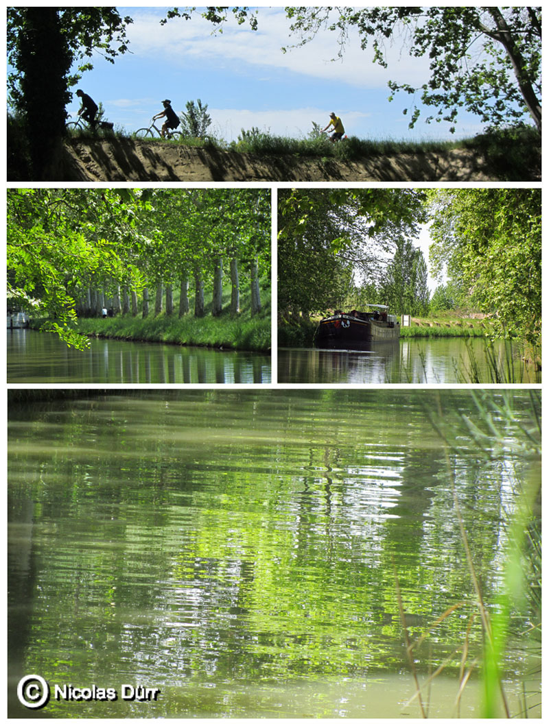 Le Canal aux environs de Capestang