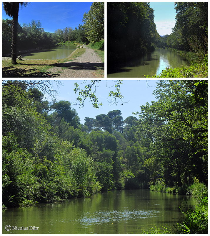 Le bief de Trèbes (1)