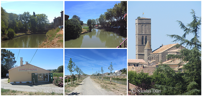 Le Canal du Midi à Trèbes (1)