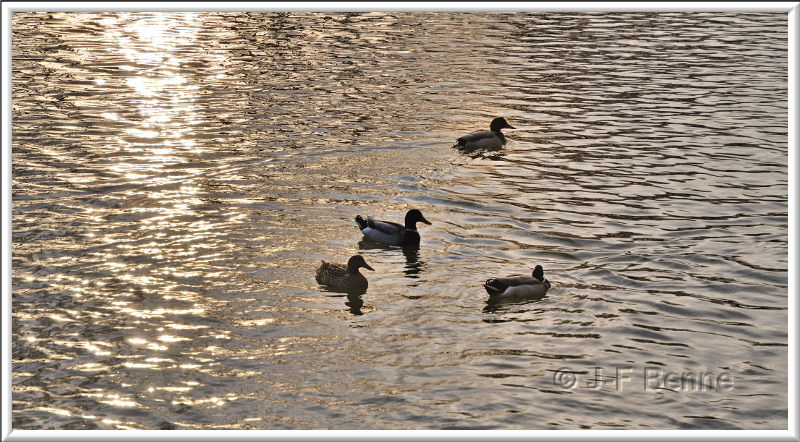 jfb-ph-beziers-port-neuf-2013-04