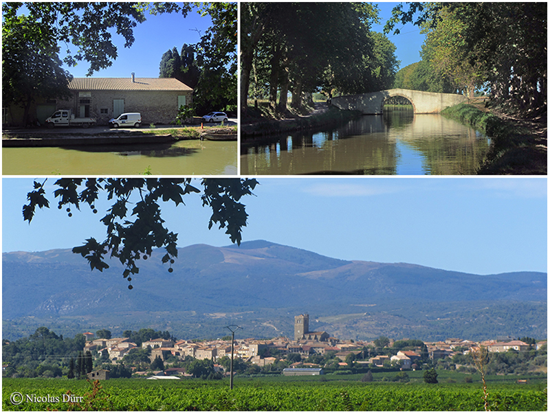 Vue d'Azille depuis le bief