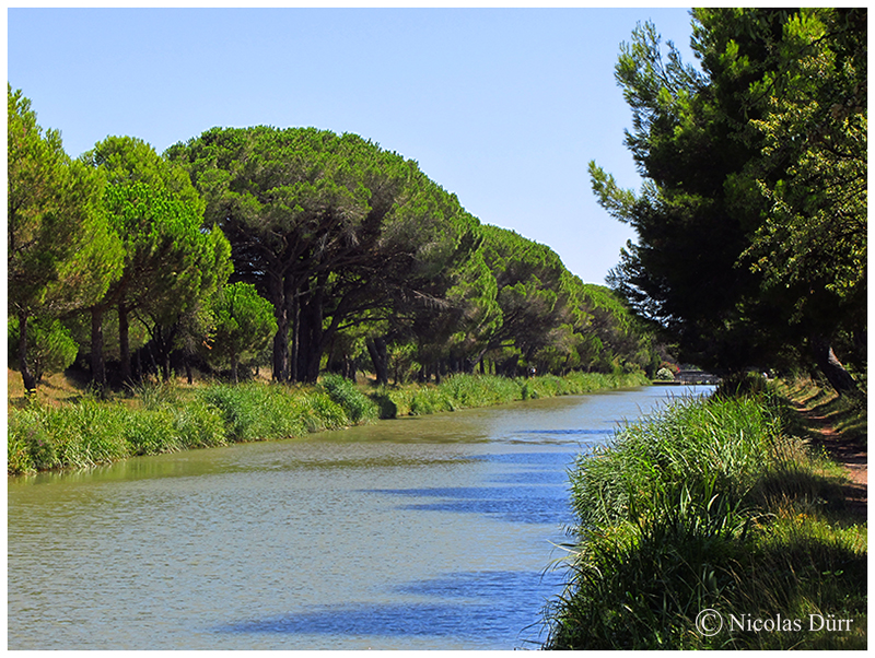 Le bief d'Argeliers