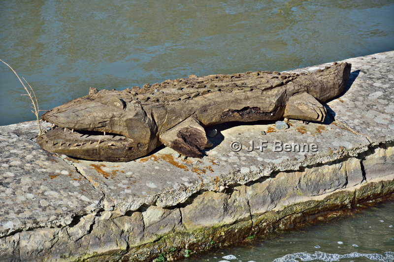 Un beau crocodile. Une des nombreuses sculptures de l'éclusier.