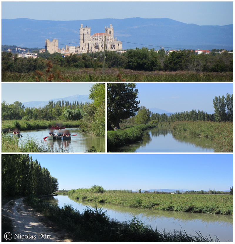 Le bief de Mandirac avec vue sur la cathédrale de Narbonne