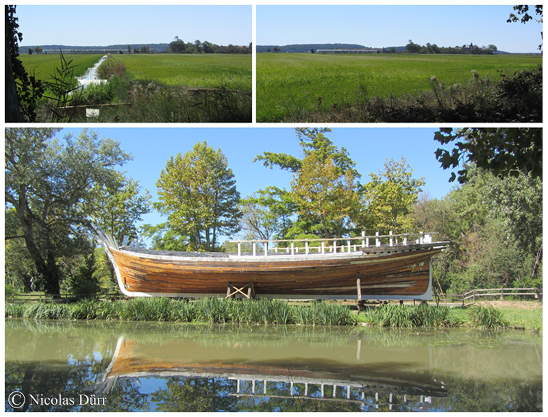 Champs de riz et bateau en cale sèche au domaine du Petit Mandirac