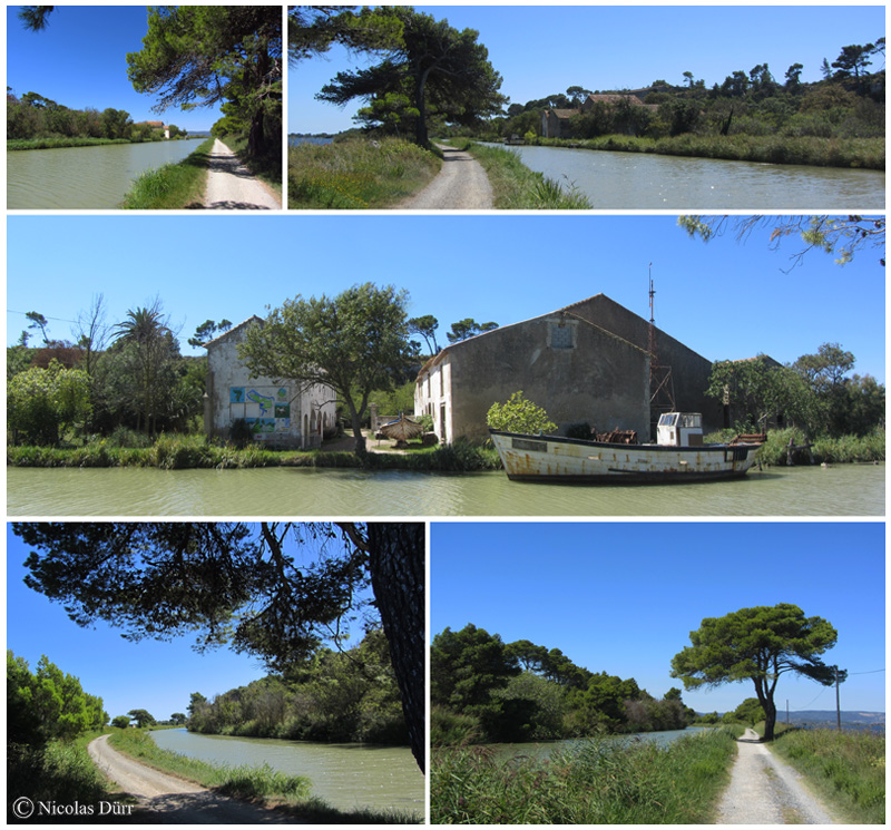 Le bief le long de l'île Sainte Lucie