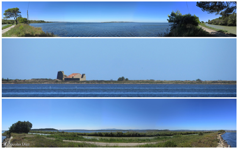 Panoramiques sur l'étang de l'Ayrolle