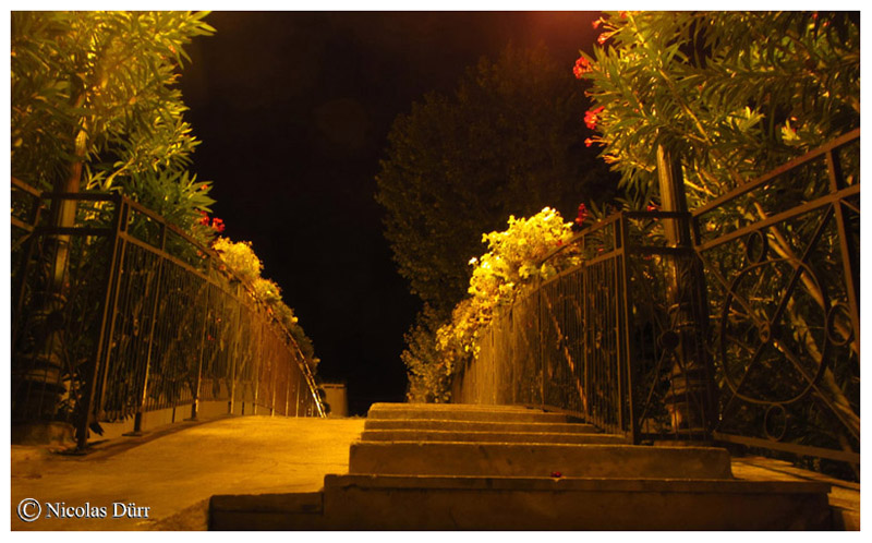 Nocturne, détail sur le Pont Alsace-Lorraine, 2015