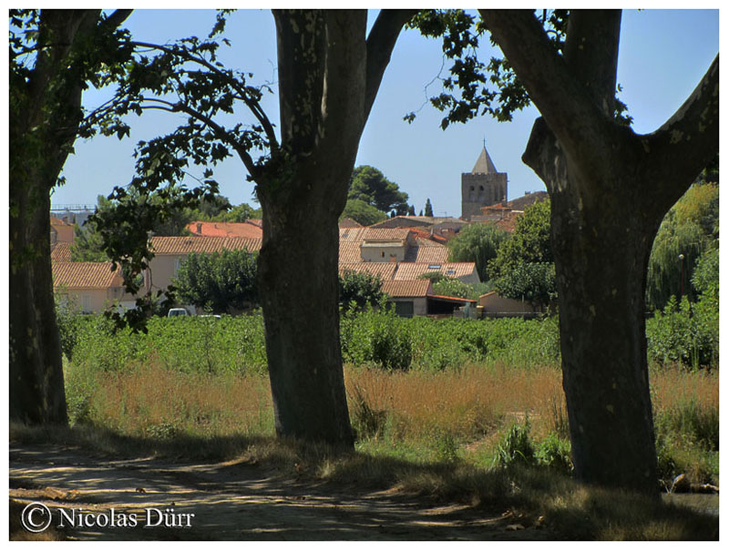 Argeliers depuis le canal, août 2015