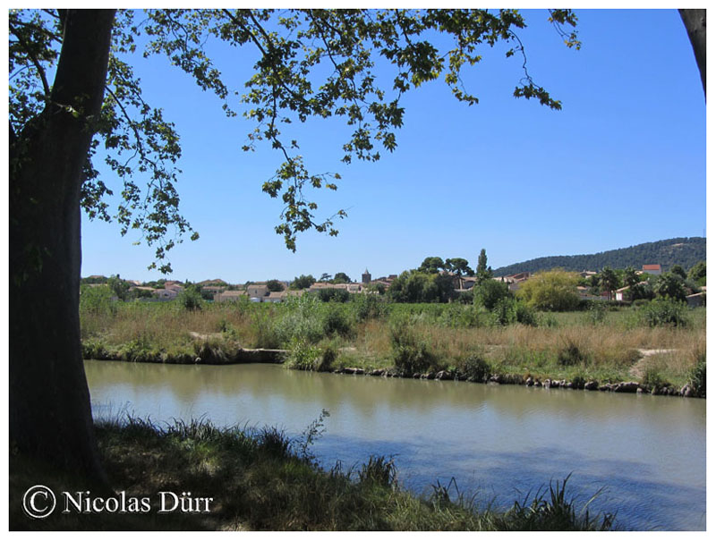 Autre vue sur Argeliers depuis le canal, août 2015