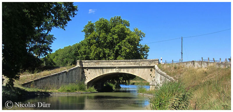 Le Pont neuf d'Argeliers en amont, août 2015