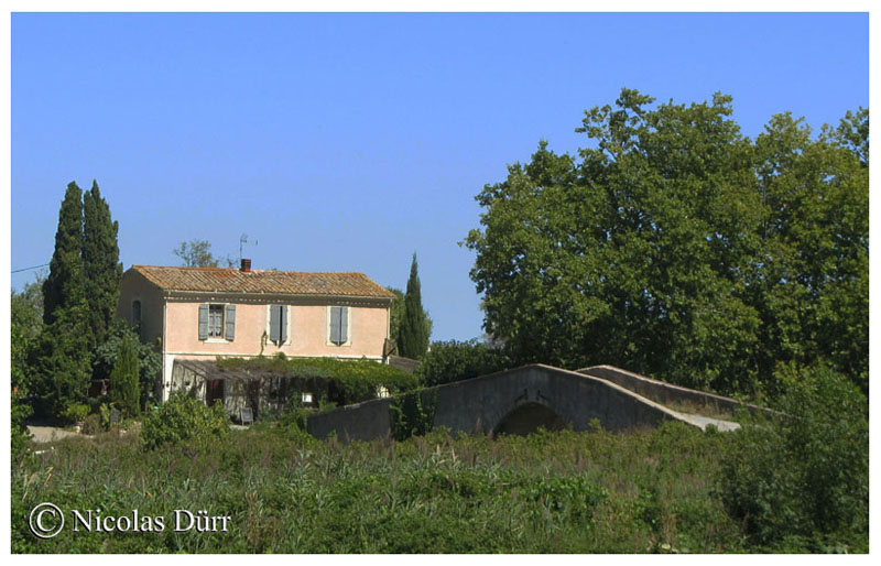 Le Pont vieux d'Argeliers au milieu des vignes, août 2015