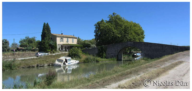 Le Pont vieux d'Argeliers en amont, août 2015