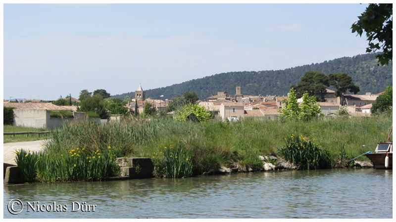 Argeliers, rive gauche sur le Canal du Midi, 2014