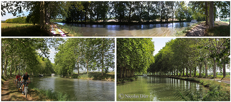 Le Canal du Midi au carrefour de 3 pays, 2012