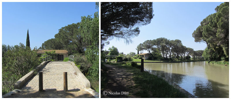 L'embranchement et le pont, mai 2015