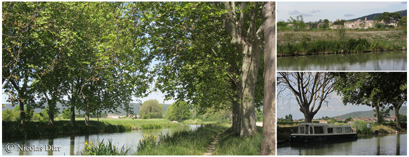 Le Canal du midi sur Argeliers, 2012 et 2014