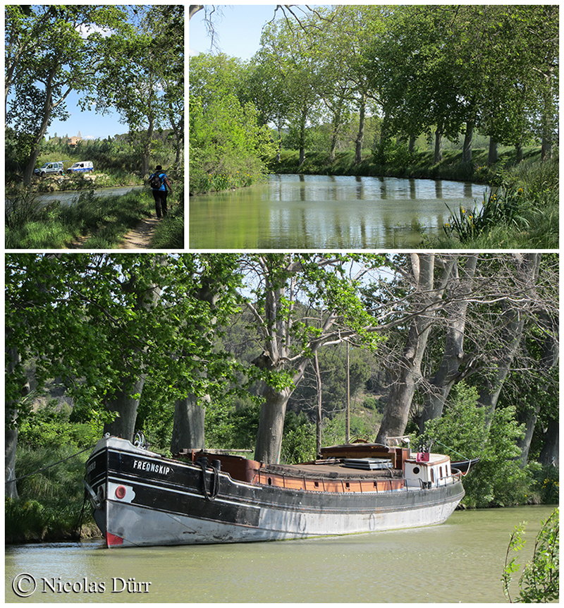 le-canal-du-midi-direction-le-relais