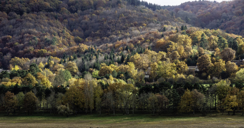 Automne à Saint-Ferréol