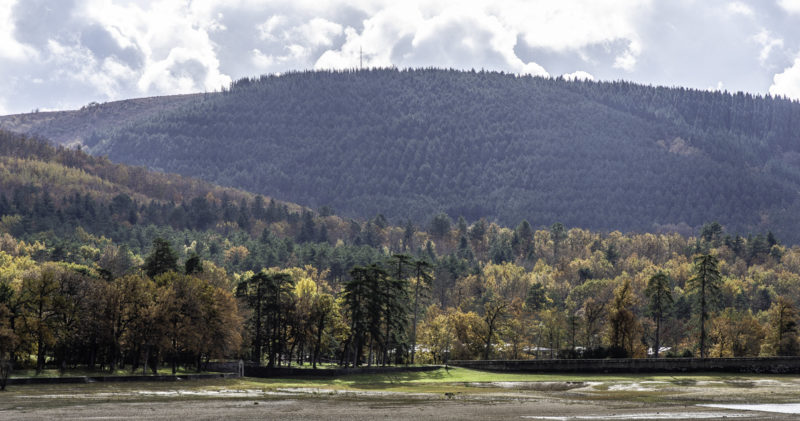 Saint-Ferréol en automne