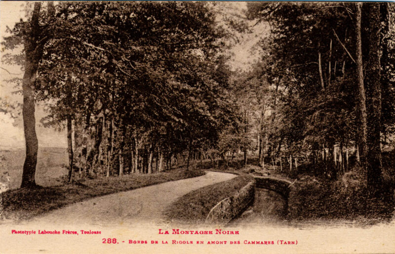 Vue de la Rigole de la Montagne (à droite) et du chemin qui la borde. Nous sommes entre le Conquet et la voûte de Vauban.