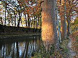 Perspective de l'écluse avec couleurs d'automne, vue d'amont